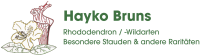 Hayko Bruns Rhododendron Baumschule Westerstede