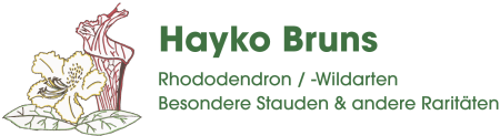 Hayko Bruns Rhododendron Baumschule Westerstede